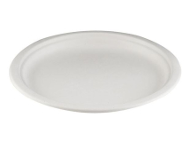 10.25inch WHITE BAGASSE PLATE X500 PE014S