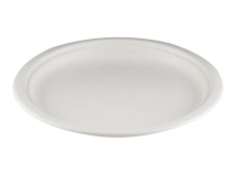 10.25inch BAGASSE PLATE X 500
