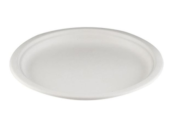 10.25Inch BAGASSE PLATE X 500