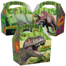 CHILDRENS DINOSAURS MEAL BOX