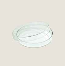 PLAYGROUND GLASS BOWL FLAT 15CM WITH LID X6