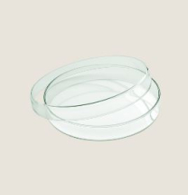 PLAYGROUND GLASS BOWL FLAT 18CM WITH LID X6