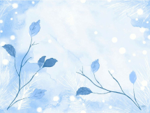 DUNICEL FROSTED WINTER PLACEMATS 30X40CM