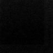 POPPIES NAPKIN 33CM 2PLY BLACK