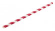 PAPER RED STRIPE STRAW X250 BIODEGRADABLE 8" 6MM(BORE)