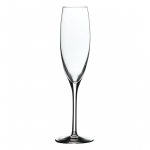 DPS BANQUET CHAMPAGNE FLUTE 170ML 6OZ G215/17