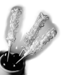 BUFFET FRILL SKEWERS