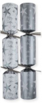 10" SILVER DAZZLING STAR CRACKERS X100
