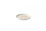 CHURCHILL KINTSUGI CORAL 8 1/4" WALLED PLATE