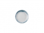 DUDSON MAKER'S COLLECTION FINCA LIMESTONE ORGANIC COUPE PLATE 9"