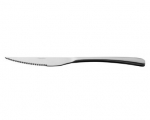 DPS ELITE STEAK KNIFE 18/0 X12 A3513