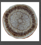 RUSTICO IRIS PLATES 28CM