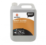 SELDEN MINUTE GLOSS INSTANT CLEAN&SHINE FLOOR POLISH