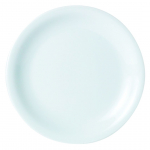 DPS PORCELITE STANDARD NARROW RIM PLATE 8.7"
