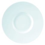 DPS PORCELITE STANDARD WIDE RIM PLATE 12.2"