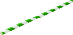 PAPER GREEN STRIPE STRAW X250 BIODEGRADABLE 8" 6MM(BORE)