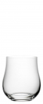 UTOPIA TULIPA TUMBLER 12OZ