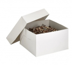 WEDDING BOX BASE 8X8X6" X50