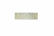 ELEMENTS FERN TASTING TRAY PLA TE 30X9CM