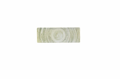ELEMENTS FERN TASTING TRAY PLA TE 25X9CM