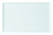 DPS PORCELITE CREATIONS RECTANGULAR FLAT PLATTER 14.2X9inch