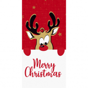 NAPKINS BDS 1/8 40X40CM RUDOLF