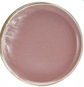 GENWARE TERRA PORCELAIN ROSE COUPE PLATE 10.8inch