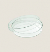 PLAYGROUND GLASS BOWL FLAT 18CM WITH LID X6