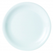 DPS PORCELITE STANDARD NARROW RIM PLATE 9.5inch