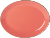 DPS PORCELITE SEASONS CORAL OVAL PLATE 11.8inch