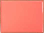 DPS PORCELITE SEASONS CORAL RECTANGULAR PLATTER 13.8X9.8inch