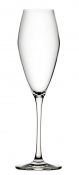 SEINE FLUTE 9.25OZ 26CL