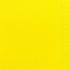 40cm 2 ply Napkins