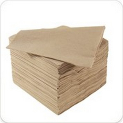 POPPIES 40CM 2PLY KRAFT NAPKIN