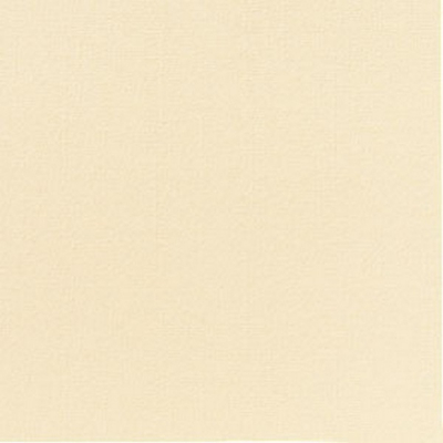DUNI AIRLAID NAPKIN BUTTERMILK CHAMPAGNE 40CM