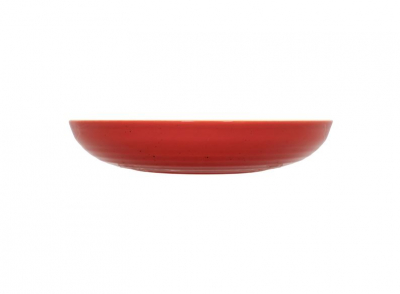 ARTISAN EMBER DEEP COUPE BOWL 9 4/5Inch25CM