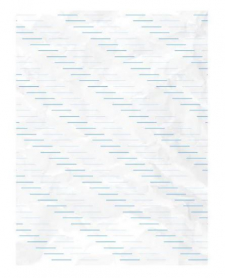 BURGER WRAP BLUE LARGE 330 X 460