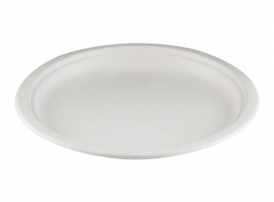 10.25Inch BAGASSE PLATE X 500