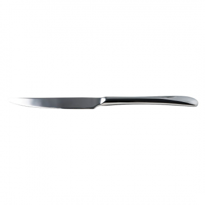 DPS FLAIR STAINLESS STEEL TABLE KNIFE 18/10