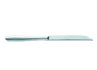 C&S LAZZO STAINLESS STEEL STEAK KNIFE 9.4Inch