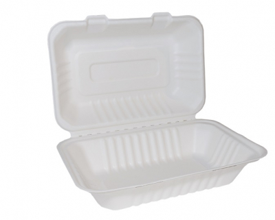 HINGED FOODBOX BIO RANGE BX051 235X140X67 LARGE BAGASSE AN204