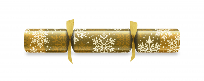 11Inch GOLD SNOWFLAKE FOIL BOARD CRACKER BOX100