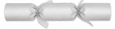 14Inch SPARKLING DUST SILVER CRACKER CASE25