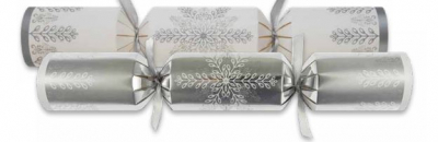 14Inch WINTER CRYSTAL SILVER WHITE CRACKER X25