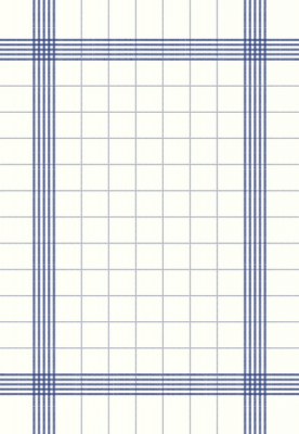 DUNISOFT TOWEL NAPKIN BLUE 38X54CM