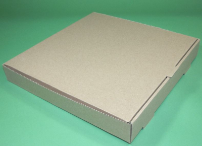 PIZZA BOX 12Inch PLAIN BROWN