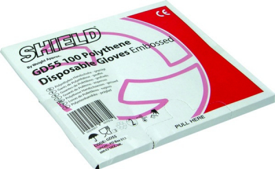 PLASTIC GLOVES CLEAR LARGE