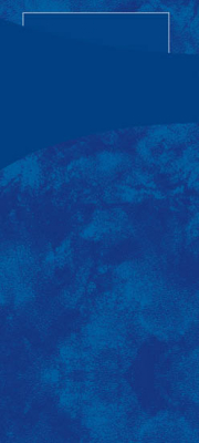 TISSUE SACCHETTO DARK BLUE NAPKIN 190X85MM