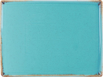 DPS PORCELITE SEASONS SEA SPRAY RECTANGULAR PLATTER 13.8X9.8Inch