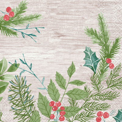 DUNI WINTER GREENERY 3-PLY NAPKINS 40X40CM